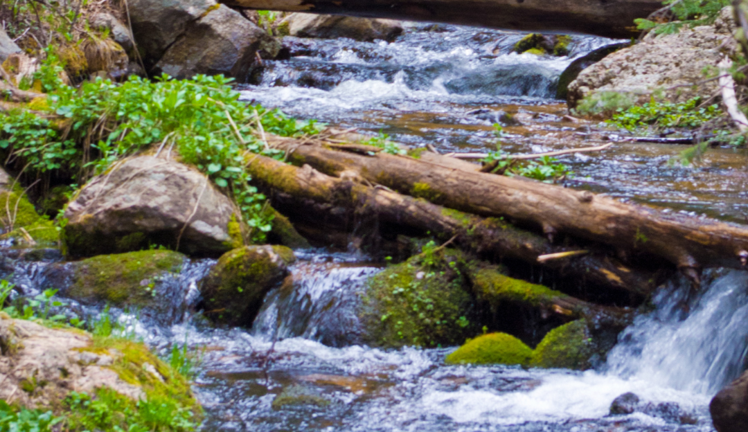 WOTUS Redefinition: New Mexico