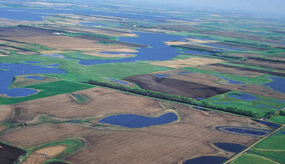 WOTUS Redefinition: South Dakota