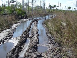 Destruction from Off Road Vehicles
