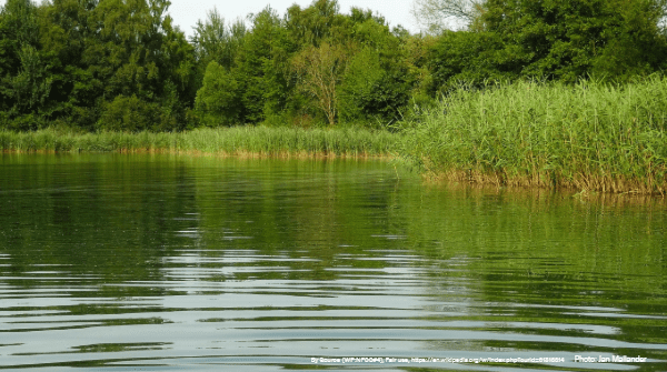 EPA Science Advisors Slam EPA’s Proposed Water Rule