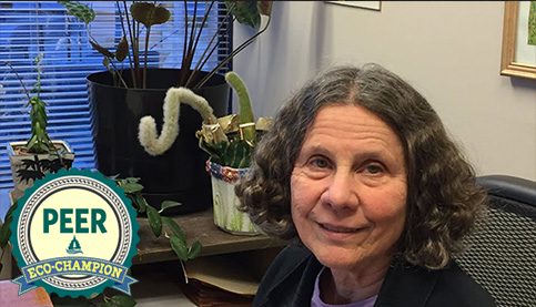 Paula Dinerstein: Whistleblower Lawyer