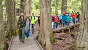 Crowd of people in National Park / need for reforms management of visitors National Parks need reforms to their management of visitors.