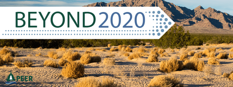 Beyond 2020 BLM Email Header with Image BLM photo