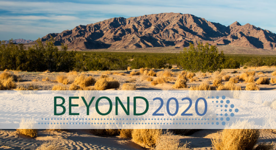 Beyond 2020: Bureau of Land Management