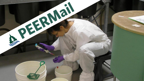 PEERMail | Something Extraordinary – A Whistleblower Wins