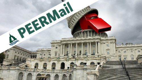 PEERMail | Whistleblowers Making a Difference